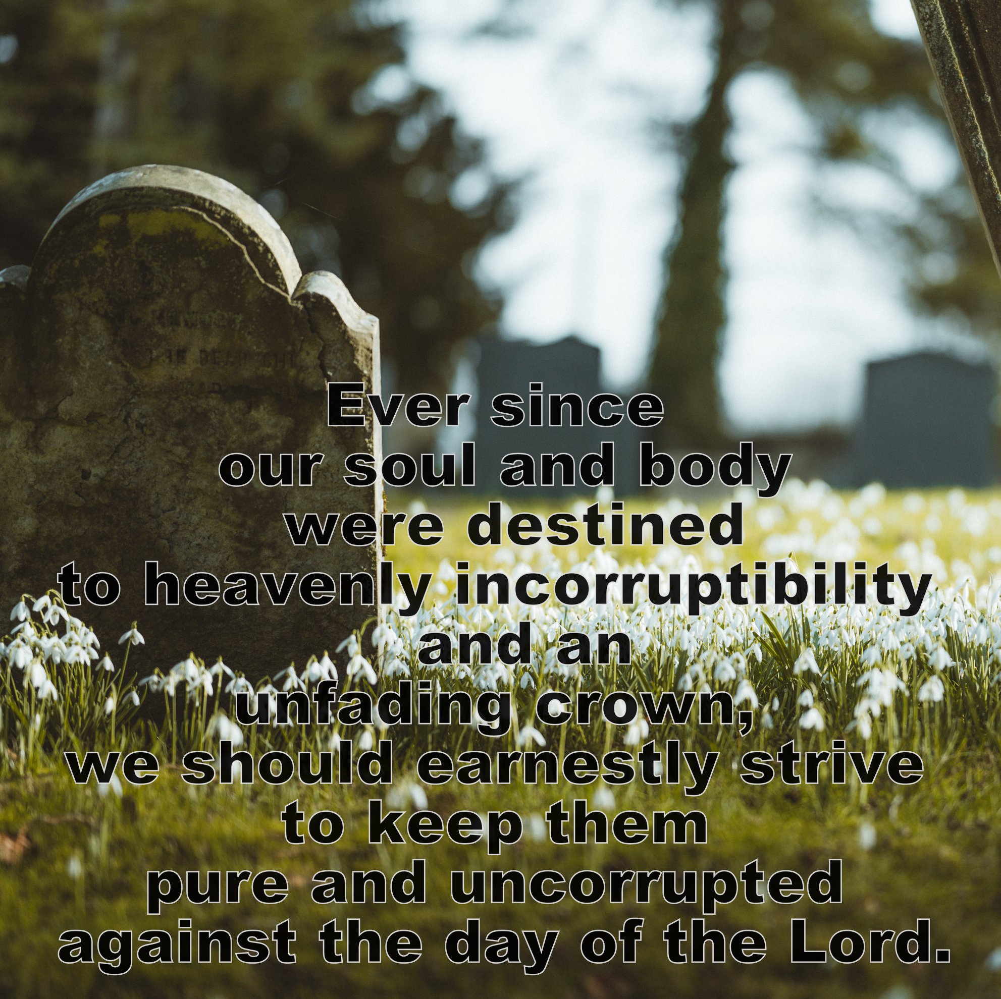 About 1 Peter 2:4-5 Ministries